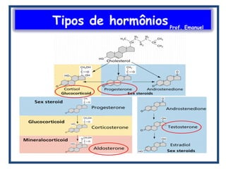 Tipos de hormôniosProf. Emanuel
 