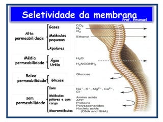 Seletividade da membranaProf. Emanuel
 