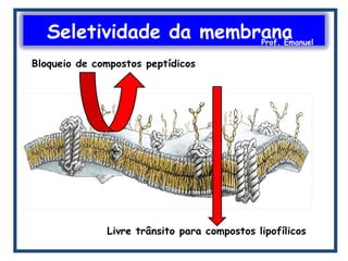 Seletividade da membranaProf. Emanuel
 