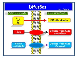Difusões Prof. Emanuel
 
