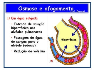 Osmose e afogamentoProf. Emanuel
 
