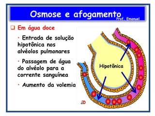 Osmose e afogamentoProf. Emanuel
 