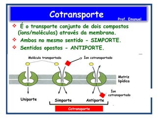 Cotransporte Prof. Emanuel
 É o transporte conjunto de dois compostos
(íons/moléculas) através da membrana.
 Ambos no mesmo sentido - SIMPORTE.
 Sentidos opostos - ANTIPORTE.
Cotransporte
Molécula transportada Íon cotransportado
Uniporte Simporte Antiporte
Íon
cotransportado
Matriz
lipídica
 