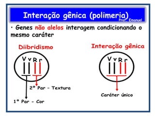 Interação gênica (polimeria)Prof. Emanuel
• Genes não alelos interagem condicionando o
mesmo caráter
 