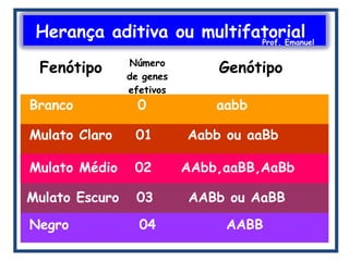 Herança aditiva ou multifatorialProf. Emanuel
Fenótipo Número
de genes
efetivos
Genótipo
Branco 0 aabb
Mulato Claro 01 Aabb ou aaBb
Mulato Médio 02 AAbb,aaBB,AaBb
Mulato Escuro 03 AABb ou AaBB
Negro 04 AABB
 