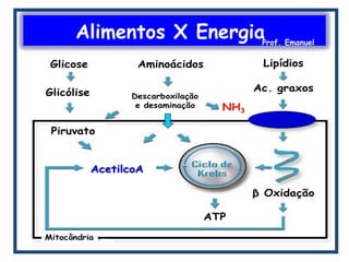 Alimentos X EnergiaProf. Emanuel
 