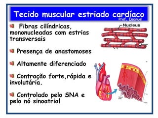 Tecido muscular estriado cardíacoProf. Emanuel
Fibras cilíndricas,
mononucleadas com estrias
transversais
Presença de anastomoses
Altamente diferenciado
Contração forte,rápida e
involutária.
Controlado pelo SNA e
pelo nó sinoatrial
 