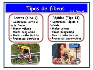 Tipos de fibras Prof. Emanuel
 
