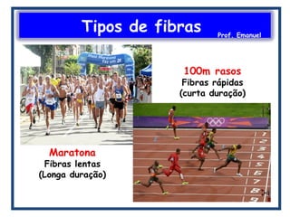 Tipos de fibras Prof. Emanuel
 
