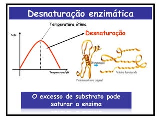Ação
Temperatura/pH
Temperatura ótima
Desnaturação
Desnaturação enzimática
 