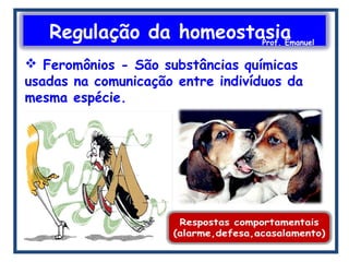 Regulação da homeostasiaProf. Emanuel
 Feromônios - São substâncias químicas
usadas na comunicação entre indivíduos da
mesma espécie.
 