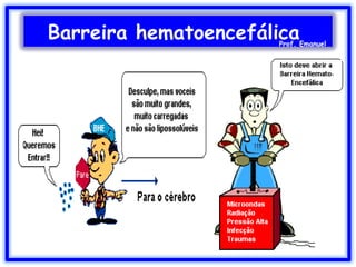 Barreira hematoencefálicaProf. Emanuel
 
