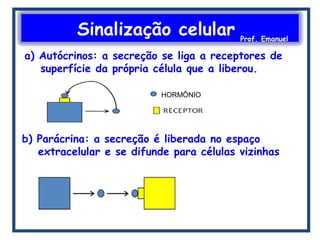 Sinalização celular Prof. Emanuel
b) Parácrina: a secreção é liberada no espaço
extracelular e se difunde para células vizinhas
a) Autócrinos: a secreção se liga a receptores de
superfície da própria célula que a liberou.
HORMÔNIO
 