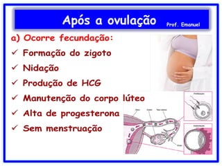 Após a ovulação Prof. Emanuel
 