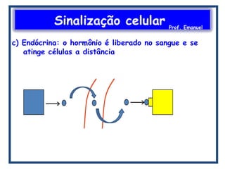 Sinalização celular Prof. Emanuel
c) Endócrina: o hormônio é liberado no sangue e se
atinge células a distância
 