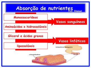 Vasos sanguíneos
Vasos linfáticos
Monossacarídeos
Aminoácidos e hidrossolúveis
Glicerol e ácidos graxos
lipossolúveis
Absorção de nutrientesProf. Emanuel
 