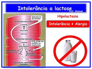 Hipolactasia
Intolerância ≠ Alergia
Intolerância a lactoseProf. Emanuel
 