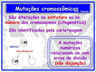 • São alterações na estrutura ou no
número dos cromossomos (citogenética)
• São identificadas pela cariotipagem
A mutações
numéricas
relacionam-se com
erros de divisão
(não disjunção)
Mutações cromossômicasProf. Emanuel
 