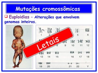  Euploidias – Alterações que envolvem
genomas inteiros.
Mutações cromossômicas
Letais
 