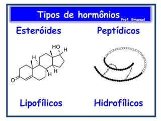 Tipos de hormôniosProf. Emanuel
Esteróides
Lipofílicos
Peptídicos
Hidrofílicos
 