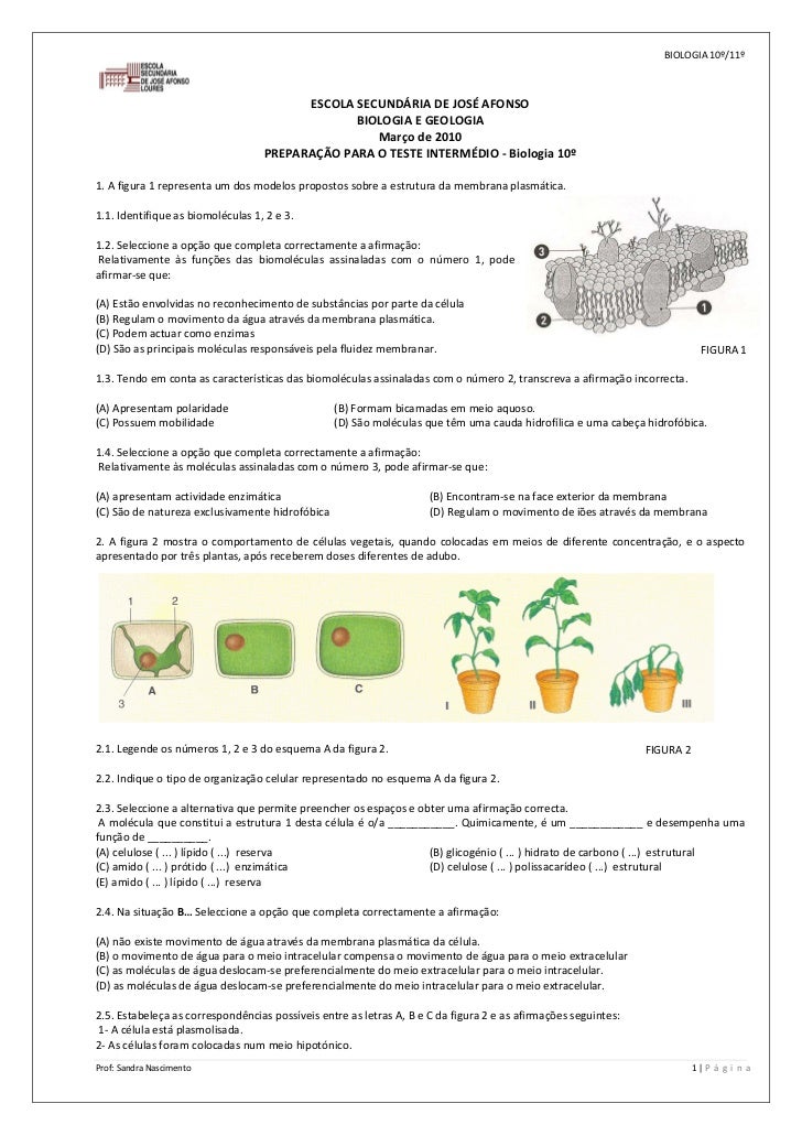 BIOLOGIA 10º/11º 



                                                       ESCOLA SECUNDÁRIA DE JOSÉ AFONSO 
            ...