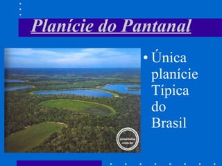 Planície do Pantanal Única planície Típica do Brasil 