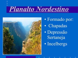 Planalto Nordestino Formado por: Chapadas Depressão Sertaneja Incelbergs 