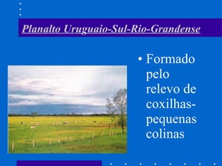 Planalto Uruguaio-Sul-Rio-Grandense Formado pelo relevo de coxilhas- pequenas colinas 