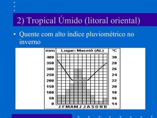 2) Tropical Úmido (litoral oriental) Quente com alto índice pluviométrico no inverno 
