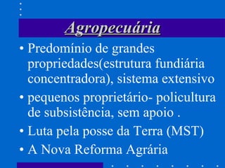 Agropecuária Predomínio de grandes propriedades(estrutura fundiária concentradora), sistema extensivo pequenos proprietário- policultura de subsistência, sem apoio . Luta pela posse da Terra (MST) A Nova Reforma Agrária 