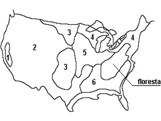 Os Belts nos Estados Undios 