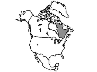A região de Quebec  