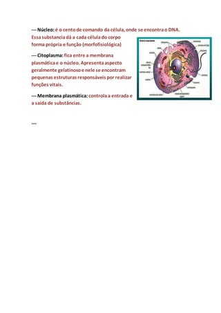 --- Núcleo: é o centode comando da célula, onde se encontrao DNA.
Essasubstanciadá a cada célulado corpo
forma própria e função (morfofisiológica)
--- Citoplasma: fica entre a membrana
plasmáticae o núcleo. Apresentaaspecto
geralmente gelatinosoe nele se encontram
pequenas estruturas responsáveis por realizar
funções vitais.
--- Membrana plasmática: controlaa entrada e
a saída de substâncias.
---
 