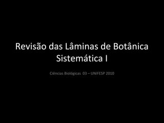 Revisão das Lâminas de Botânica
Sistemática I
Ciências Biológicas 03 – UNIFESP 2010
 