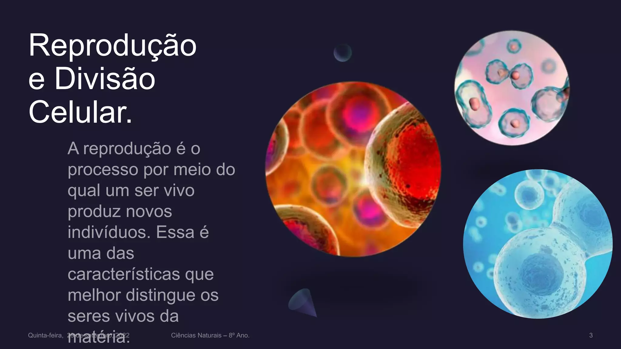 Reprodução e Divisão celular. | PPT
