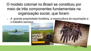 O modelo colonial no Brasil se constituiu por
meio de três componentes fundamentais na
organização social, que foram:
● A grande propriedade fundiária, a monocultura de exportação e
o trabalho escravo.
●
 