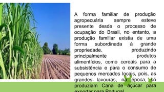 A forma familiar de produção
agropecuária sempre esteve
presente desde o processo de
ocupação do Brasil, no entanto, a
produção familiar existia de uma
forma subordinada à grande
propriedade, produzindo
principalmente produtos
alimentícios, como cereais para a
subsistência e para o consumo de
pequenos mercados locais, pois, as
grandes lavouras, na época, só
produziam Cana de açúcar para
 
