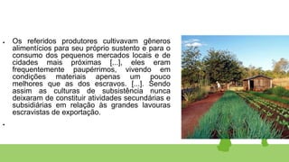 ● Os referidos produtores cultivavam gêneros
alimentícios para seu próprio sustento e para o
consumo dos pequenos mercados locais e de
cidades mais próximas [...], eles eram
frequentemente paupérrimos, vivendo em
condições materiais apenas um pouco
melhores que as dos escravos. [...]. Sendo
assim as culturas de subsistência nunca
deixaram de constituir atividades secundárias e
subsidiárias em relação às grandes lavouras
escravistas de exportação.
●
 
