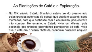 As Plantações de Café e a Exploração
● No XIX século Estado Brasileiro estava sendo pressionado
pelas grandes potências da época, que queriam expandir seus
mercados, para que acabasse com a escravidão, pois escravo
não compra. No entanto, o Estado vivia um dilema, pois
dependia dos grandes fazendeiros plantadores de café, visto
que o café era o “carro chefe”da economia brasileira naquele
período.
 