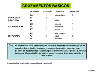 CRUZAMENTOS BÁSICOS
genótipos proporção fenótipos proporção
DOMINÂNCIA
COMPLETA
AA
Aa
aa
1
2
1
pigmentado
albino
3
1
CODOMINÂNCIA
BB
VV
BV
1
2
1
branco
vermelho
róseo
1
2
1
LETALIDADE
AA
Aa
aa
1
2
1
letal (aguti)
aguti
amarelo
2
1
Obs.: no cruzamento teste (test-cross) um indivíduo de fenótipo dominante (A-) e de
genótipo desconhecido é cruzado com outro de genótipo recessivo (aa).
Se entre os descendentes surgirem apenas dominantes(A-) é porque o parental
dominante é homozigoto e se ocorrer algum recessivo é porque o parental é
Heterozigoto.
O que significa penetrância, expressibilidade e atavismo?
LEONEL
 