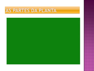 Revisão de geografia e ciencias