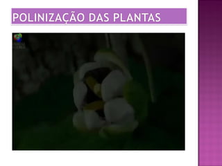 Revisão de geografia e ciencias