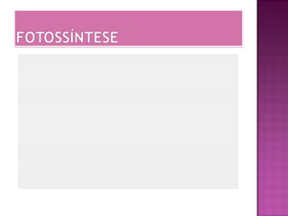 Revisão de geografia e ciencias