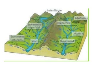 *A drástica diminuição da cobertura 
vegetal nas áreas urbanas brasileiras 
influencia a qualidade das águas dos 
rios. 
 