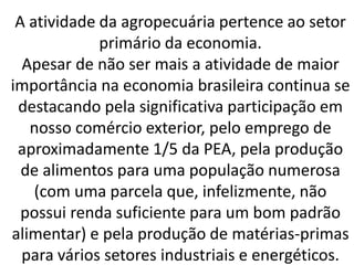 A atividade da agropecuária pertence ao setor
primário da economia.
Apesar de não ser mais a atividade de maior
importância na economia brasileira continua se
destacando pela significativa participação em
nosso comércio exterior, pelo emprego de
aproximadamente 1/5 da PEA, pela produção
de alimentos para uma população numerosa
(com uma parcela que, infelizmente, não
possui renda suficiente para um bom padrão
alimentar) e pela produção de matérias-primas
para vários setores industriais e energéticos.
 
