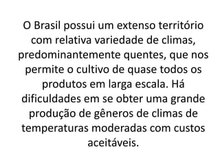 O Brasil possui um extenso território
com relativa variedade de climas,
predominantemente quentes, que nos
permite o cultivo de quase todos os
produtos em larga escala. Há
dificuldades em se obter uma grande
produção de gêneros de climas de
temperaturas moderadas com custos
aceitáveis.
 