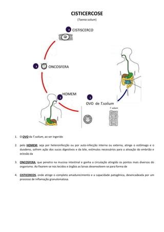 CISTICERCOSE
(Taenia solium)
1. O OVO da T.solium, ao ser ingerido
2. pelo HOMEM, seja por heteroinfecção ou por auto-infecção interna ou externa, atinge o estômago e o
duodeno, sofrem ação dos sucos digestivos e da bile, estímulos necessários para a ativação do embrião e
eclosão da
3. ONCOSFERA, que penetra na mucosa intestinal e ganha a circulação atingido os pontos mais diversos do
organismo. Ao fixarem-se nos tecidos e órgãos as larvas desenvolvem-se para forma de
4. CISTICERCOS, onde atinge o completo amadurecimento e a capacidade patogênica, desencadeada por um
processo de inflamação granulomatosa.
 
