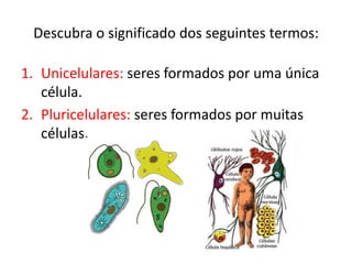 Descubra o significado dos seguintes termos:
1. Unicelulares: seres formados por uma única
célula.
2. Pluricelulares: seres formados por muitas
células.
 