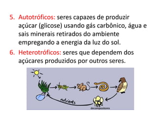 5. Autotróficos: seres capazes de produzir
açúcar (glicose) usando gás carbônico, água e
sais minerais retirados do ambiente
empregando a energia da luz do sol.
6. Heterotróficos: seres que dependem dos
açúcares produzidos por outros seres.
 