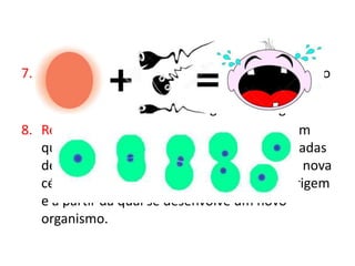 7. Reprodução assexuada: processo de reprodução
em que ocorre simples divisão do organismo
formando dois exatamente iguais ao original
8. Reprodução sexuada: tipo de reprodução em
que são produzidas células especiais chamadas
de gametas, que se unem para formar uma nova
célula, diferente das duas que lhe deram origem
e a partir da qual se desenvolve um novo
organismo.
 